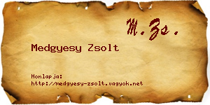 Medgyesy Zsolt névjegykártya